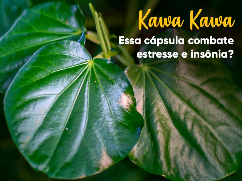 Kawa Kawa: Como essa c�psula combate estresse e ins�nia?